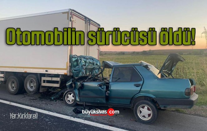 Otomobilin sürücüsü öldü!