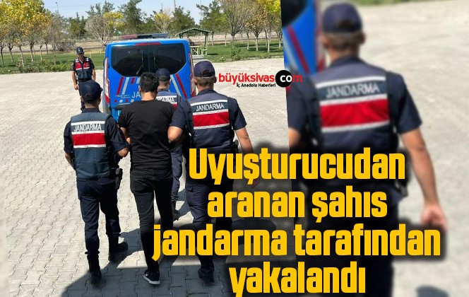 Uyuşturucudan aranan şahıs jandarma tarafından yakalandı