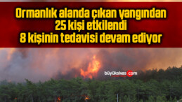 Ormanlık alanda çıkan yangından 25 kişi etkilendi! 8 kişinin tedavisi devam ediyor