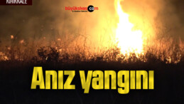 Anız yangını