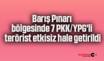 Barış Pınarı bölgesinde 7 PKK/YPG’li terörist etkisiz hale getirildi