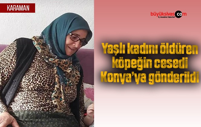 Yaşlı kadını öldüren köpeğin cesedi Konya’ya gönderildi