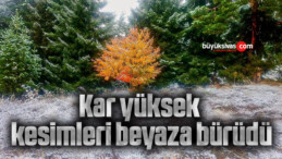 Kar yüksek kesimleri beyaza bürüdü