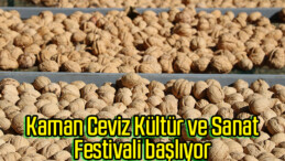 Kaman Ceviz Kültür ve Sanat Festivali başlıyor