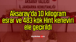 Aksaray’da 10 kilogram esrar ve 483 kök Hint keneviri ele geçirildi