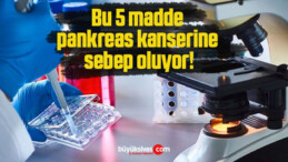 Bu 5 madde pankreas kanserine sebep oluyor!