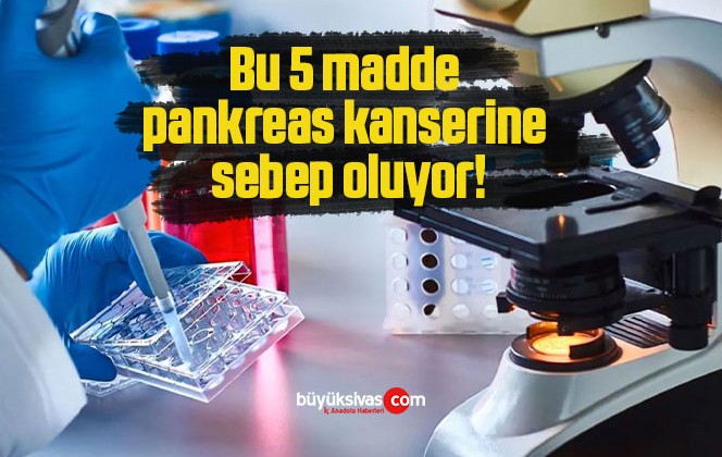 Bu 5 madde pankreas kanserine sebep oluyor!