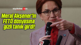 Meral Akşener’in FETÖ dosyasına gizli tanık girdi!