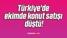 Türkiye’de ekimde konut satışı düştü!