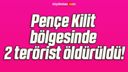 Pençe Kilit bölgesinde 2 terörist öldürüldü!