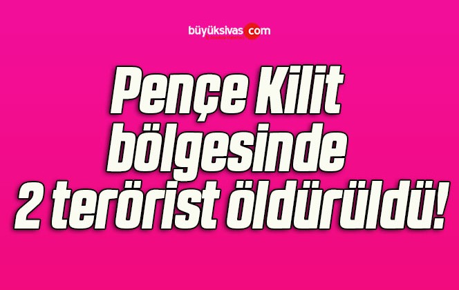 Pençe Kilit bölgesinde 2 terörist öldürüldü!