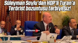 Süleyman Soylu’dan HDP’li Turan’a: Terörist bozuntusu terbiyesiz!