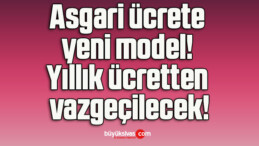 Asgari ücrete yeni model! Yıllık ücretten vazgeçilecek!