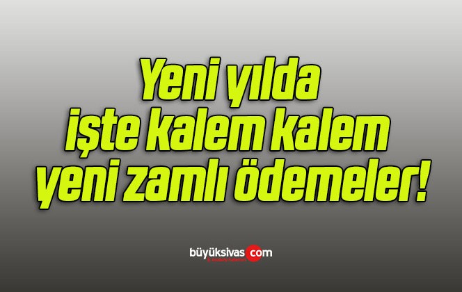 Yeni yılda işte kalem kalem yeni zamlı ödemeler!