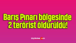 Barış Pınarı bölgesinde 2 terörist öldürüldü!