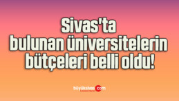 Sivas’ta bulunan üniversitelerin bütçeleri belli oldu!