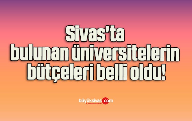 Sivas’ta bulunan üniversitelerin bütçeleri belli oldu!