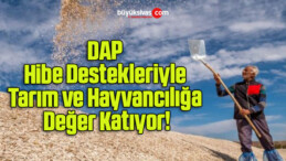 DAP Hibe Destekleriyle Tarım ve Hayvancılığa Değer Katıyor!