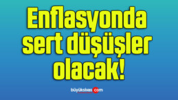 Enflasyonda sert düşüşler olacak!