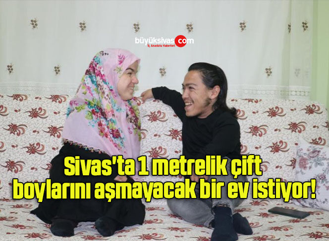 evs