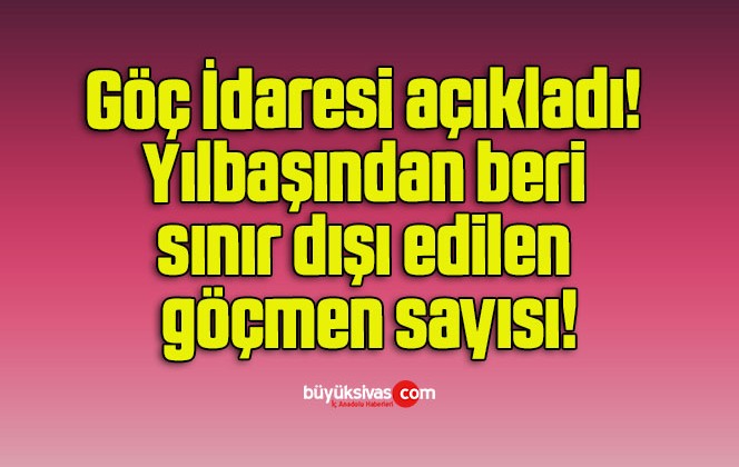 Göç İdaresi açıkladı! Yılbaşından beri sınır dışı edilen göçmen sayısı!