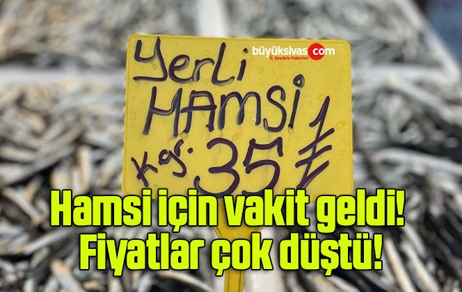 Hamsi için vakit geldi! Fiyatlar çok düştü!