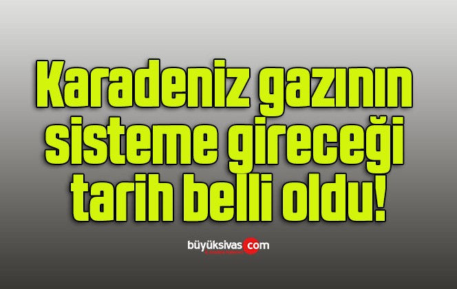 Karadeniz gazının sisteme gireceği tarih belli oldu!