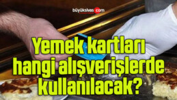 Yemek kartları hangi alışverişlerde kullanılacak?