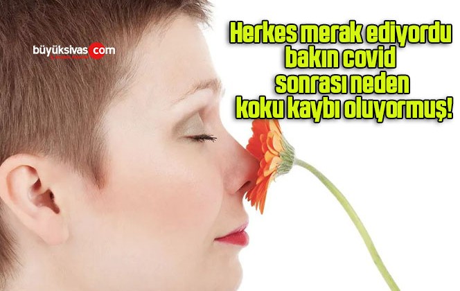 Herkes merak ediyordu bakın covid sonrası neden koku kaybı oluyormuş!