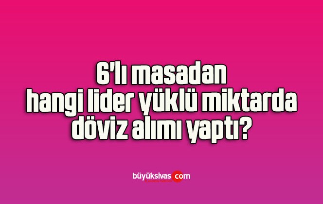 6’lı masadan hangi lider yüklü miktarda döviz alımı yaptı?