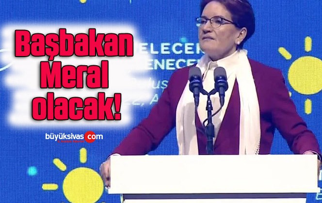 Başbakan Meral olacak!