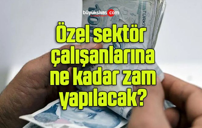 Özel sektör çalışanlarına ne kadar zam yapılacak?