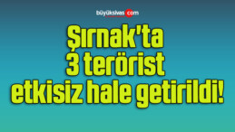 Şırnak’ta 3 terörist etkisiz hale getirildi!