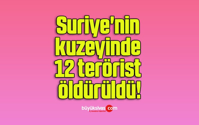 Suriye’nin kuzeyinde 12 terörist öldürüldü!