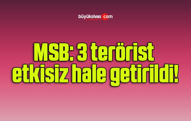 MSB: 3 terörist etkisiz hale getirildi!