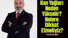 Kan Yağları Neden Yükselir? Nelere Dikkat Etmeliyiz?