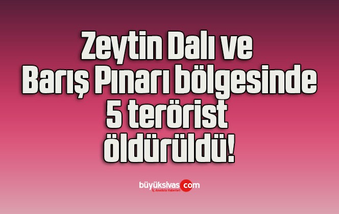 Zeytin Dalı ve Barış Pınarı bölgesinde 5 terörist öldürüldü!