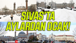 Soğuk ve yoğun kar yağışıyla ünlü Sivas. kış ayında adeta baharı yaşıyor !