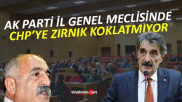 Sivas İl Genel Meclisinde CHP ile AK Parti Arasında Üye Seçimi Gerginliği