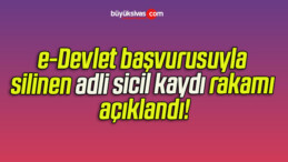 e-Devlet başvurusuyla silinen adli sicil kaydı rakamı açıklandı!