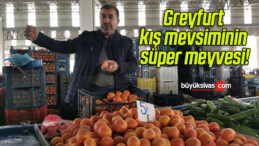 Greyfurt kış mevsiminin süper meyvesi!