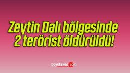 Zeytin Dalı bölgesinde 2 terörist öldürüldü!