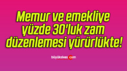 Memur ve emekliye yüzde 30’luk zam düzenlemesi yürürlükte!