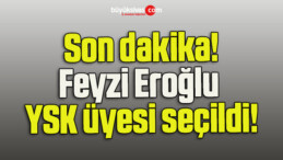 Feyzi Eroğlu YSK üyesi seçildi!