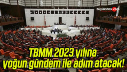 TBMM 2023 yılına yoğun gündem ile adım atacak!