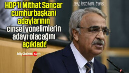 HDP’li Mithat Sancar cumhurbaşkanı adaylarının cinsel yönelimlerin adayı olacağını açıkladı!