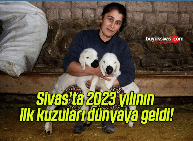 ilk