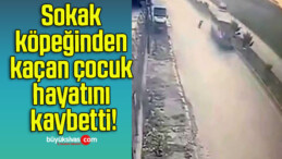 Sokak köpeğinden kaçan çocuk hayatını kaybetti!