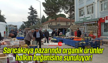 Sarıcakaya pazarında organik ürünler halkın beğenisine sunuluyor!