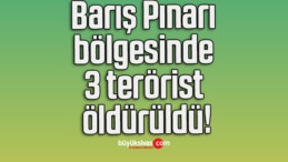 Barış Pınarı bölgesinde 3 terörist öldürüldü!